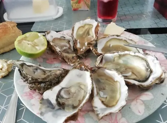 Location Saisonniere